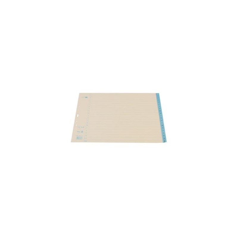 Pärmregister papper A-Ö A3L 10 st/fp