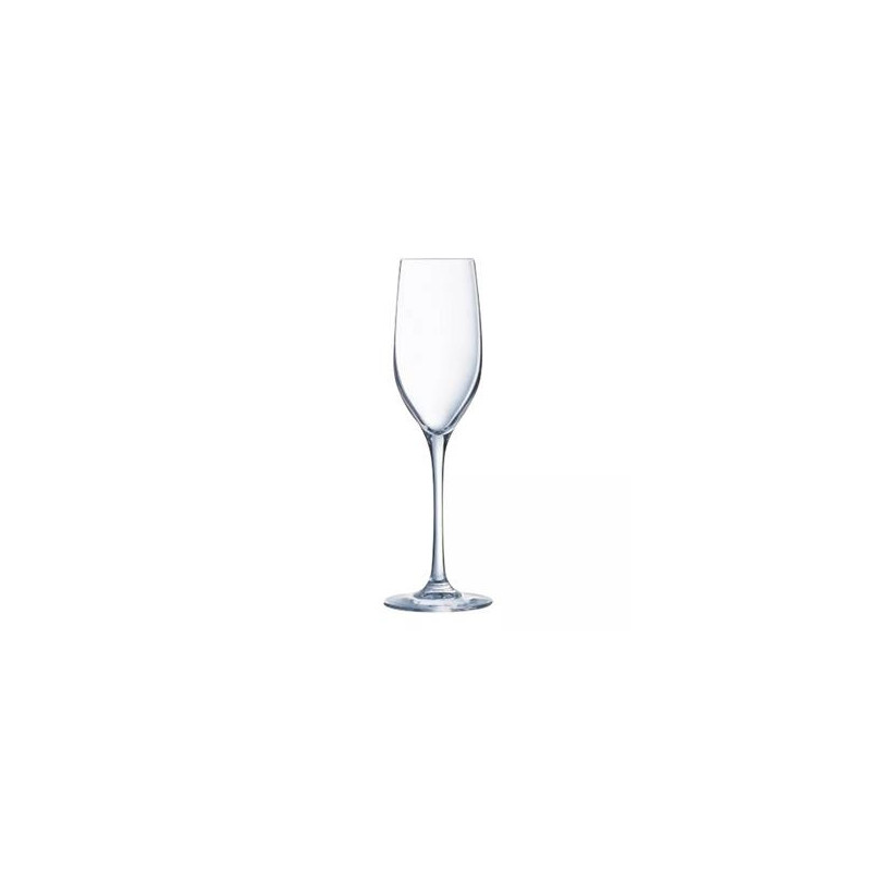 Champagneglas 6/fp Séquence 17cl
