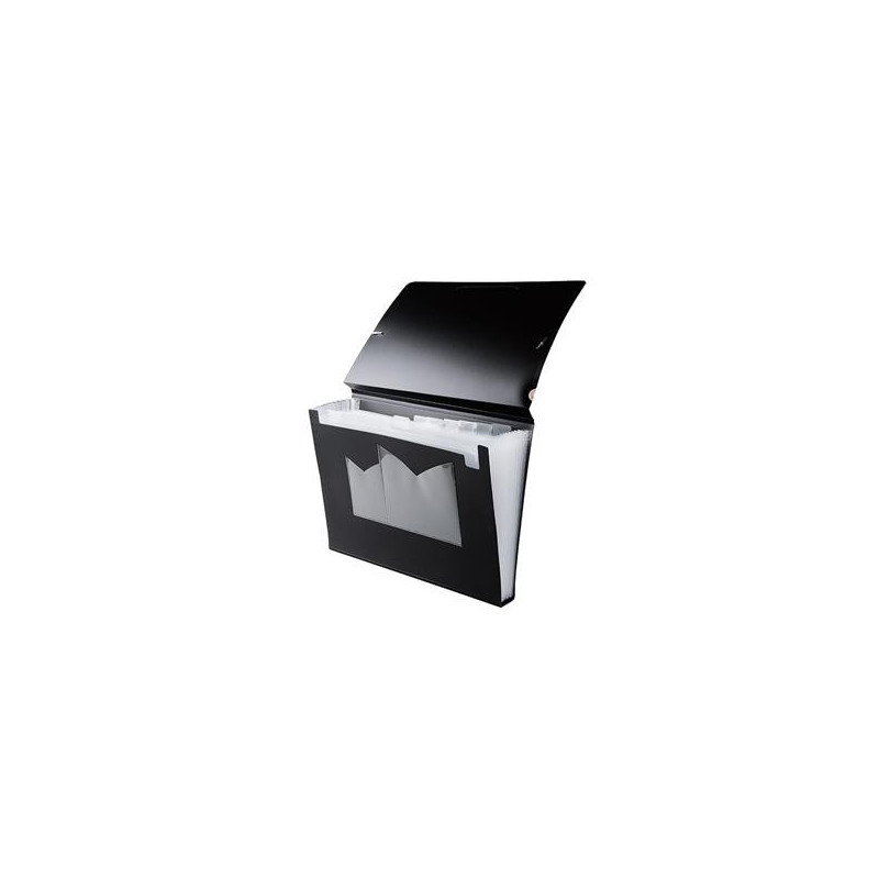 Hemarkiv/Projektmapp Docusmart PP Svart A4 13 Fickor