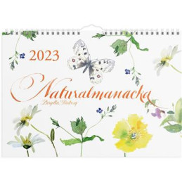 Väggkalender Burde 1728...
