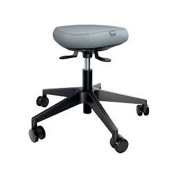 Sittpall Leitz Ergo Active...